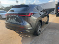 2022 Lexus NX 350 Premium