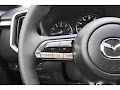 2026 Mazda CX-50 2.5 S Meridian Edition